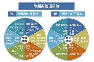 溫州企業管理咨詢 為何朗歐是您駐廠咨詢的卓越之選？