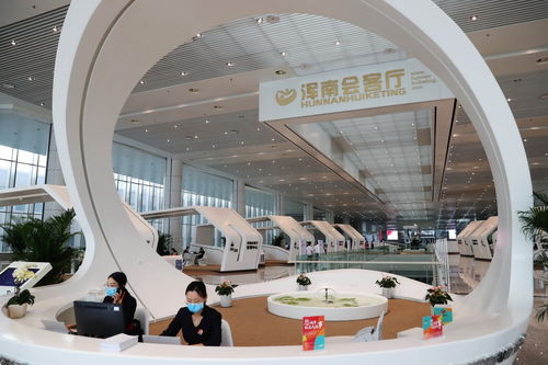 數智賦能新征程 中國自貿區如何助力企業管理升級助推經濟高質量發展